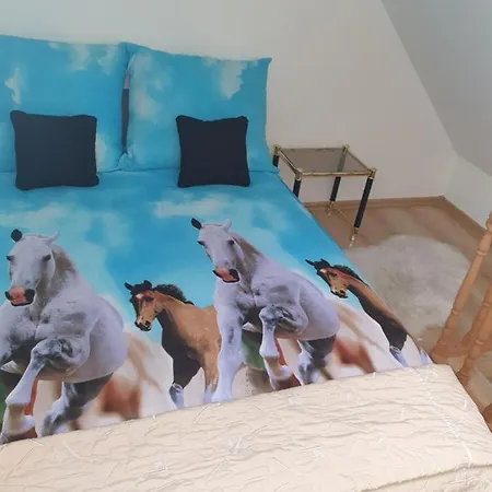 Apartament Limonka *